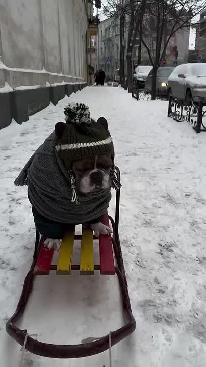 ��� ������ ���������� ����������