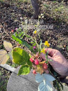 ����������� ����� �� ������