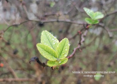 Доброго утра!. Прогноз погоды на сегодня, 18 декабря