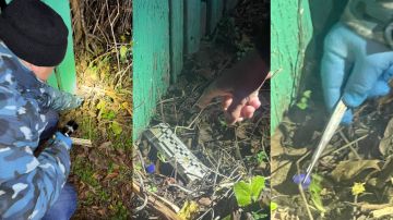 Таможенники Приднестровья пресекли контрабанду синтетических наркотиков