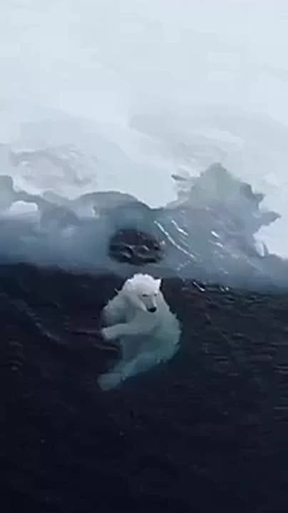 Солнечного настроения в любую погоду