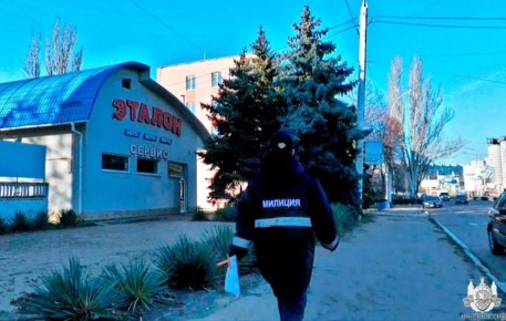 Экологическая милиция проводит рейды по республике: ищут случаи незаконной вырубки ёлок