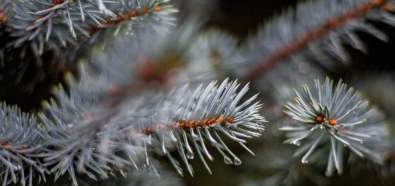 ��������� � �������� �����