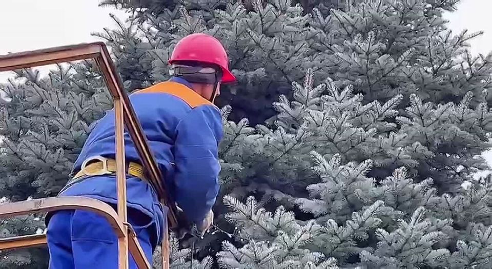 ����������� ���������� ���� ������������ ���� � �������, ����� �������� ��������� ���� ����� �� ��������