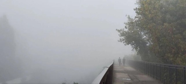 В Приднестровье туман местами продолжится до завтрашнего утра, гидромет объявляет штормовое