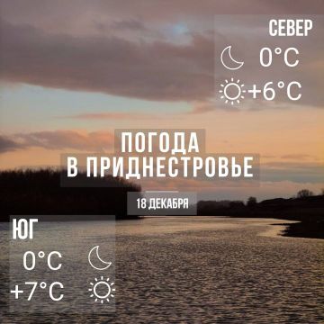 Утром местами туман. Днём – до +7°С, без существенных осадков