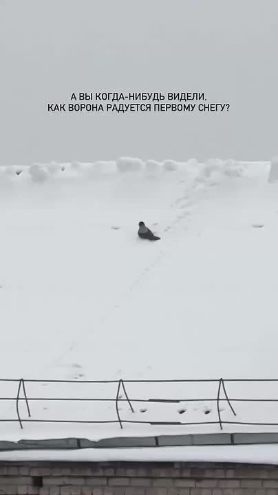 ������ ����� ������ �������������� � ������������� ����