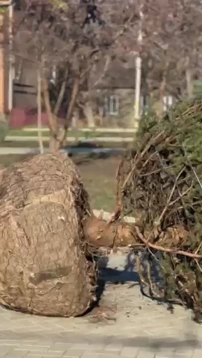 ����������� ������� ��� �������� � ��������� ����� ������ �� ������ � ������ � ����� �������