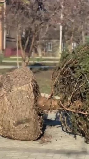 ����������� ������� ��� �������� � ��������� ����� ������ �� ������ � ������ � ����� �������