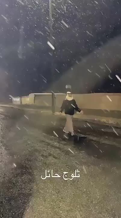 ���������� ������ ������ ����� ����� �����