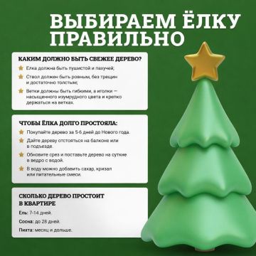 ������� ������ ������ �������� � 20 �������