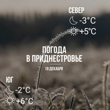 Утром местами туман, днём – до +6°С