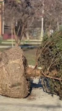 ����������� ������� ��� �������� � ��������� ����� ������ �� ������ � ������ � ����� �������