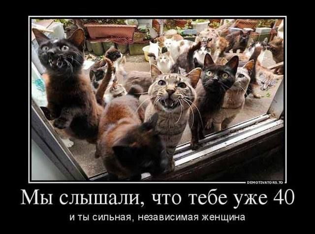 ����������� �������� ������ � ��� �� ��, ��� ������� ������� � ����