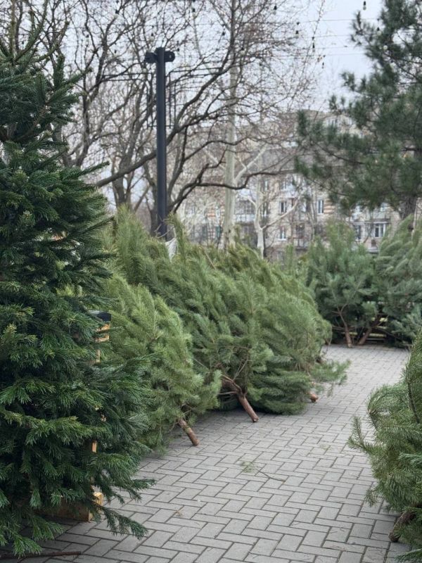 � ������������� ��������� ������� ������