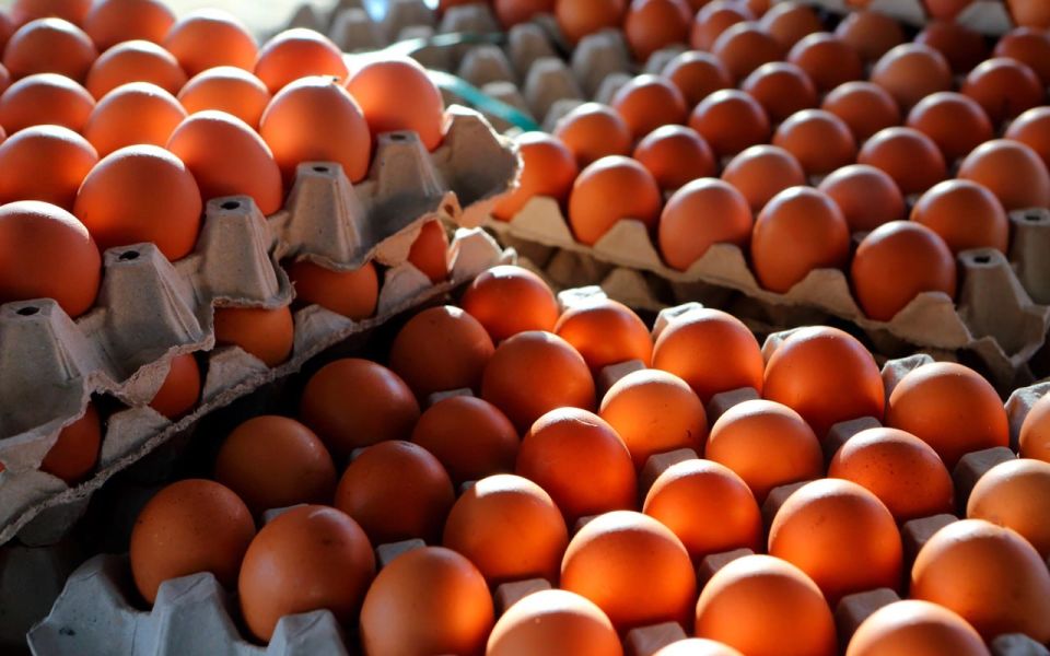 ������� ������� �� ������� ���� �������� ������� � � 2026 ����