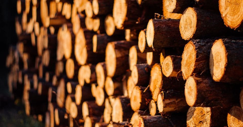 ������� �� ����� ��������� �������� �� 2026 ����