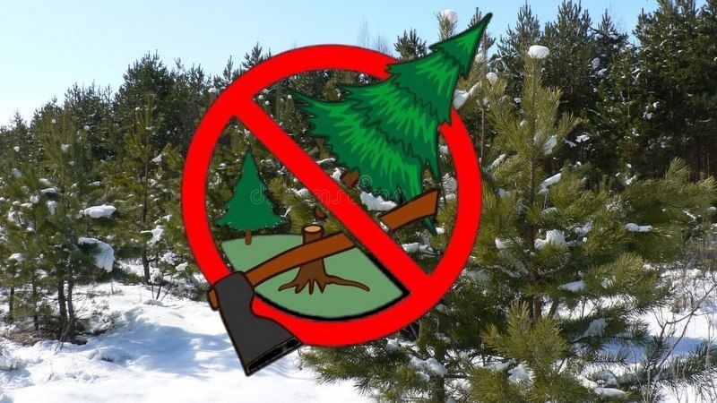 ������� ��� �������. � 23 ������� 2025 ���� � �������� ���������� ���������������� ����������� ��� �������� ��������� �����