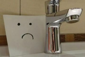 �������� ���� �������� ������ �� ����� ���� � ��������� ����������� �����������