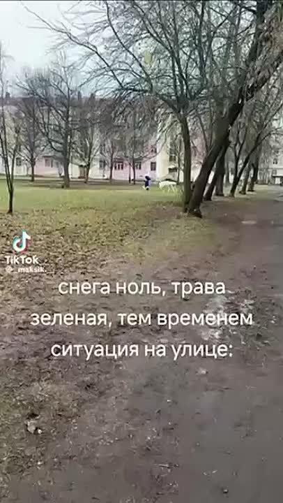 В Приднестровье на выходных открылись ёлочные базары