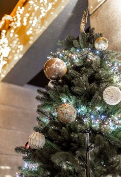 ���������� ���������� �� ������ ������������������ ������� �������