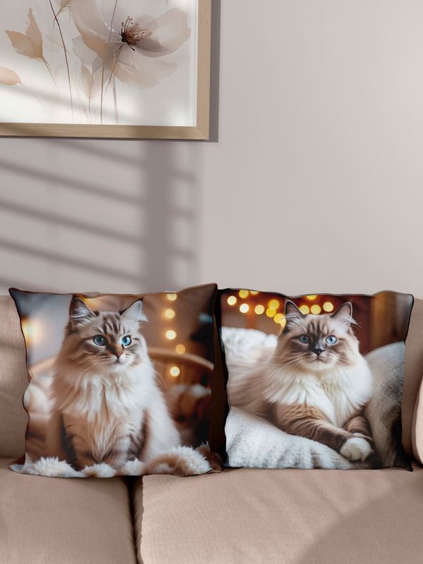 ������� ����� �� ������!. ������� �� ��������� ��� ��������� �����!