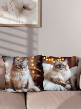 ������� ����� �� ������!. ������� �� ��������� ��� ��������� �����!