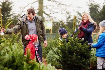 � ��������� � ���������� ������������ ���� �� ���� ����������� �� 200 �� 650 ������