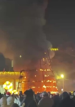 Праздник с огоньком: новогодняя ёлка в Грузии вспыхнула во время включения иллюминации