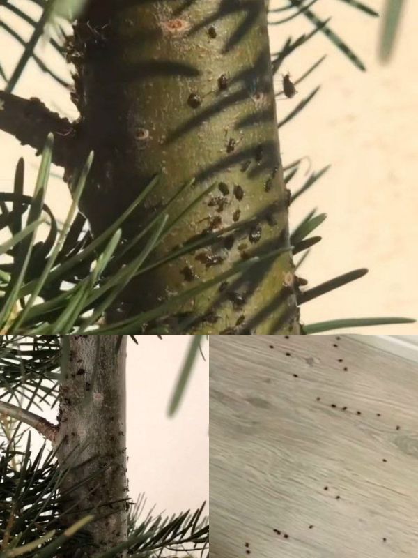 � ��������� ��������� ��������� � ������, ���������� �� ���� � �������� �����