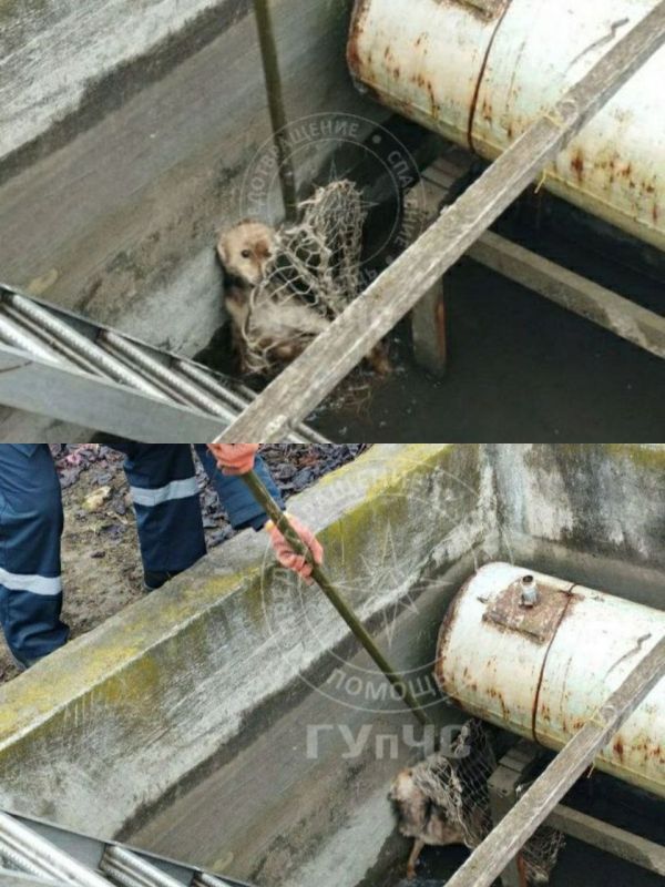 ������������� ��������� �������� ������ �� ������� ������