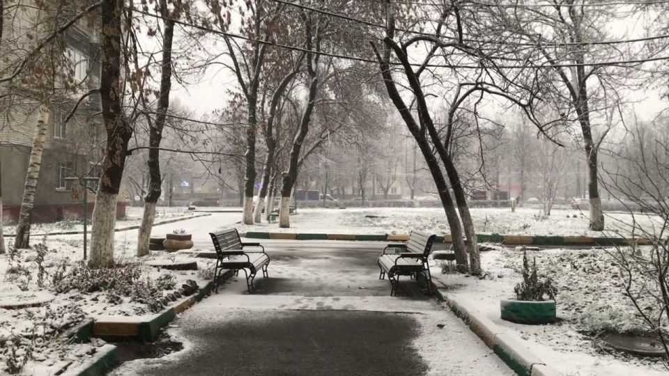 24 �������. ��������� �������� � ������������ ������, ����� � ����� ������� ������ ����, �� ������� ������� ����������