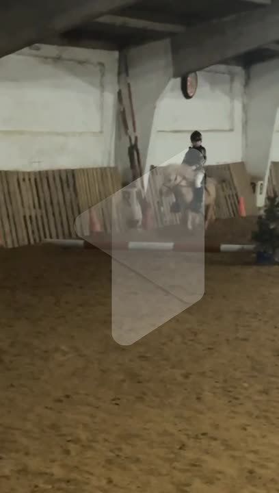 Самые милые скачки, которые вы сегодня увидите – в бендерском клубе «Аллюр» впервые прошли гонки на пони