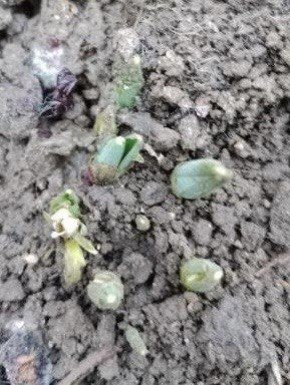 � �������� ����������� ���������� ����� ����� ����� � ���� ��� � ������ �12 �������