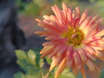 ���� ����������: � �����, � �����