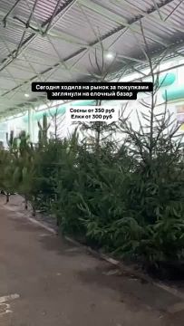 ������ �� ���� �� ������ ����� �� 300 ������