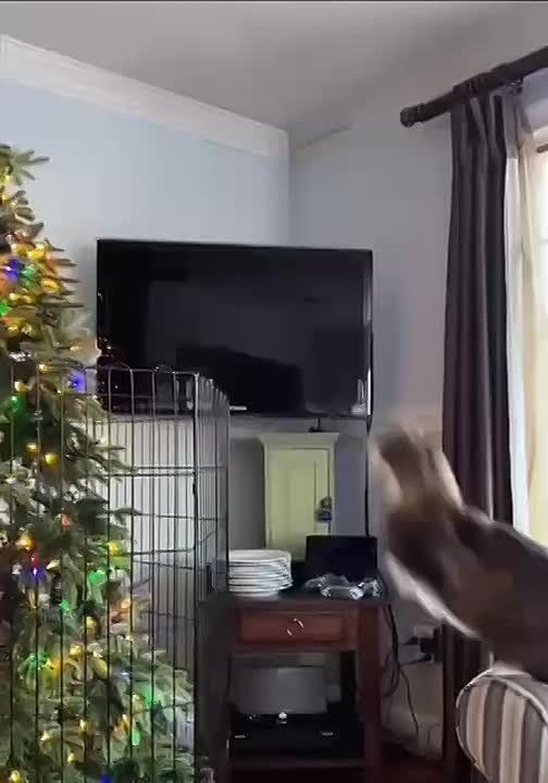 �������, 24 �������, �������� ����� � ��-���������� ���������� �������� � ���� ��������� ����