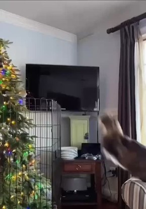 �������, 24 �������, �������� ����� � ��-���������� ���������� �������� � ���� ��������� ����