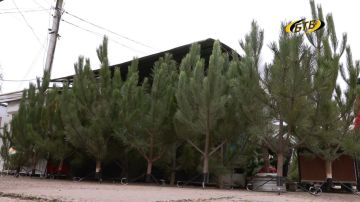 ����� ������ ���������: � �������� �������� ������� �����