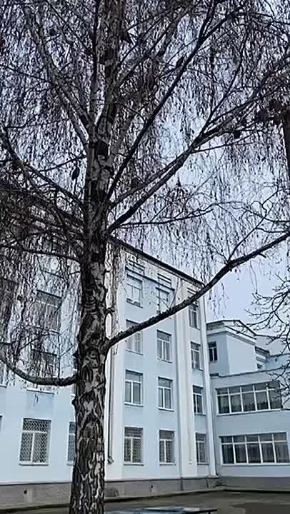 ��������� ����� ������������ � ��������: ���� �������� ����� � �������� �����