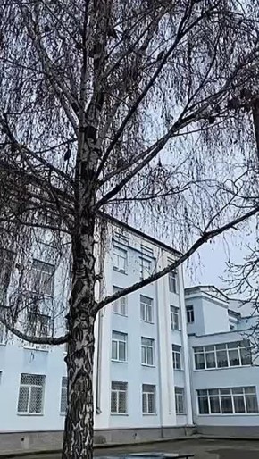 ��������� ����� ������������ � ��������: ���� �������� ����� � �������� �����