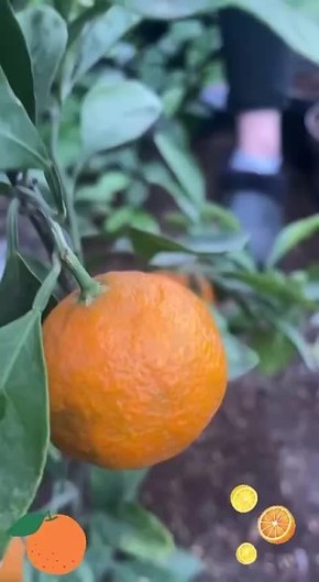 ��������� �� ���������� ������� ����� ������ �������� � ����������� �����