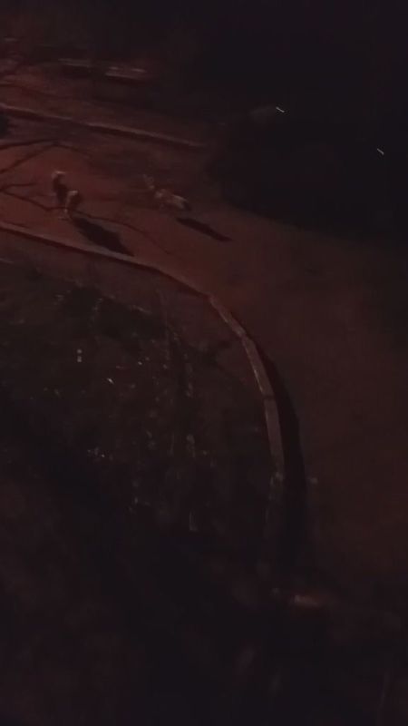 ���� ������� ����� ������������� ��������� �� ���������