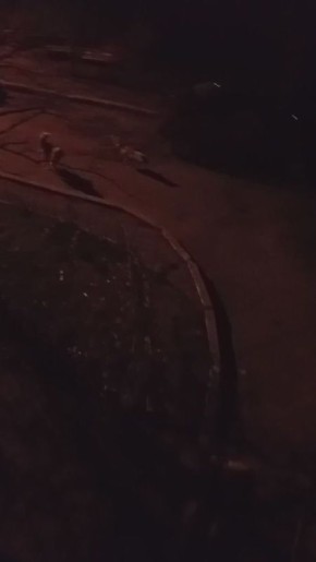 ���� ������� ����� ������������� ��������� �� ���������