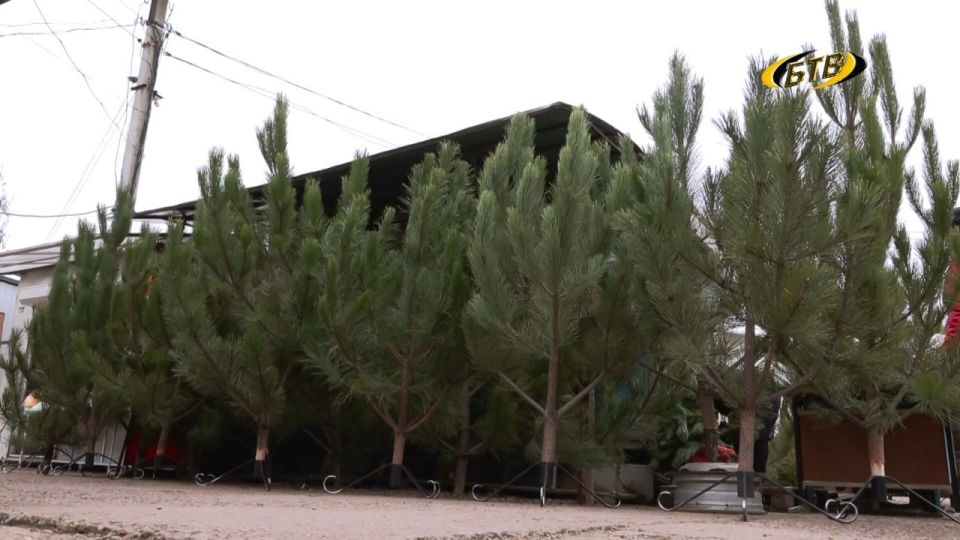 ����� ������ ���������: � �������� �������� ������� �����