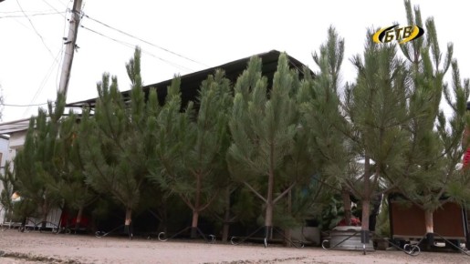 ����� ������ ���������: � �������� �������� ������� �����