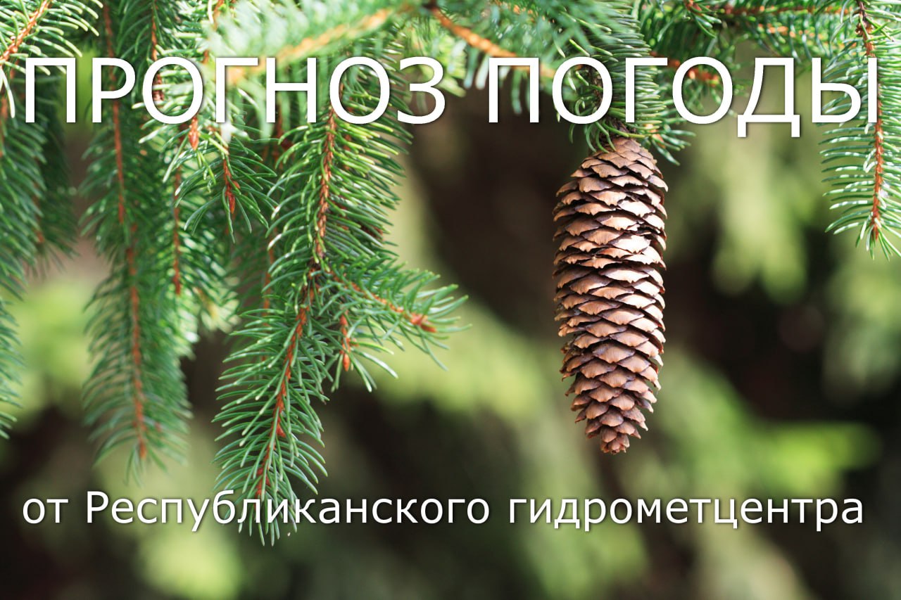 Доброго утра!. Прогноз погоды на сегодня, 25 декабря