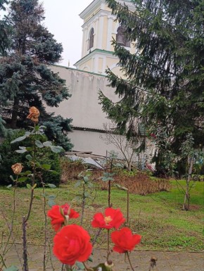 ���������� ������� ��������� ������� � �������������