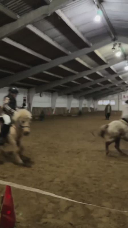 ������ �� ���� ������ ������� � �������