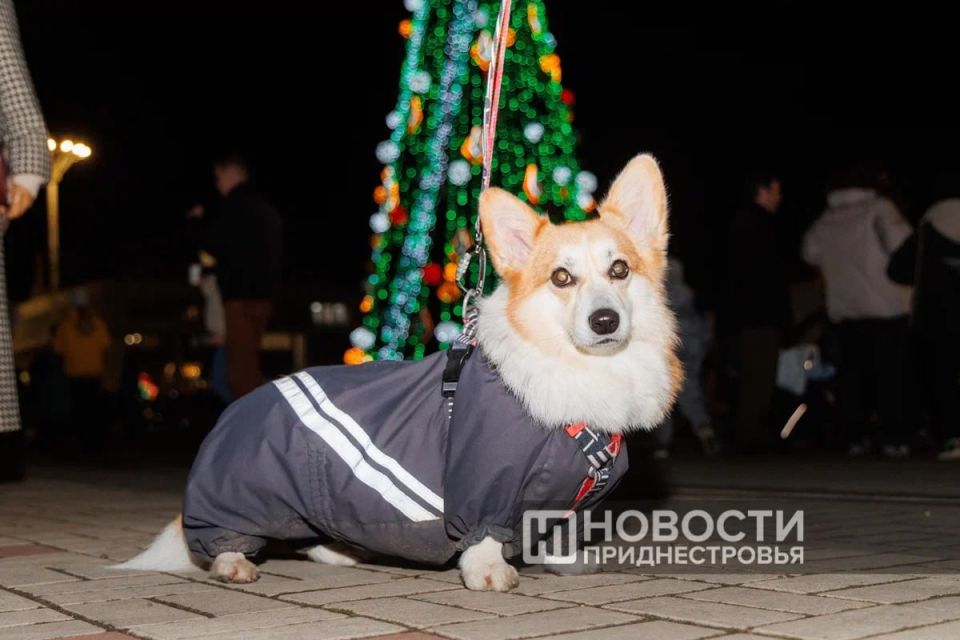 ������������� ���� ��������� � ������������� � ������������ ���, ������� ������� ���������� ���������� ������� ���������